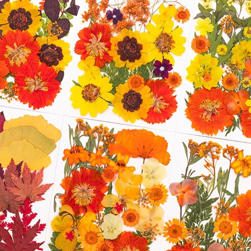Fleur pressée séchée pour moul - Resin Craft Ideas avis et prix